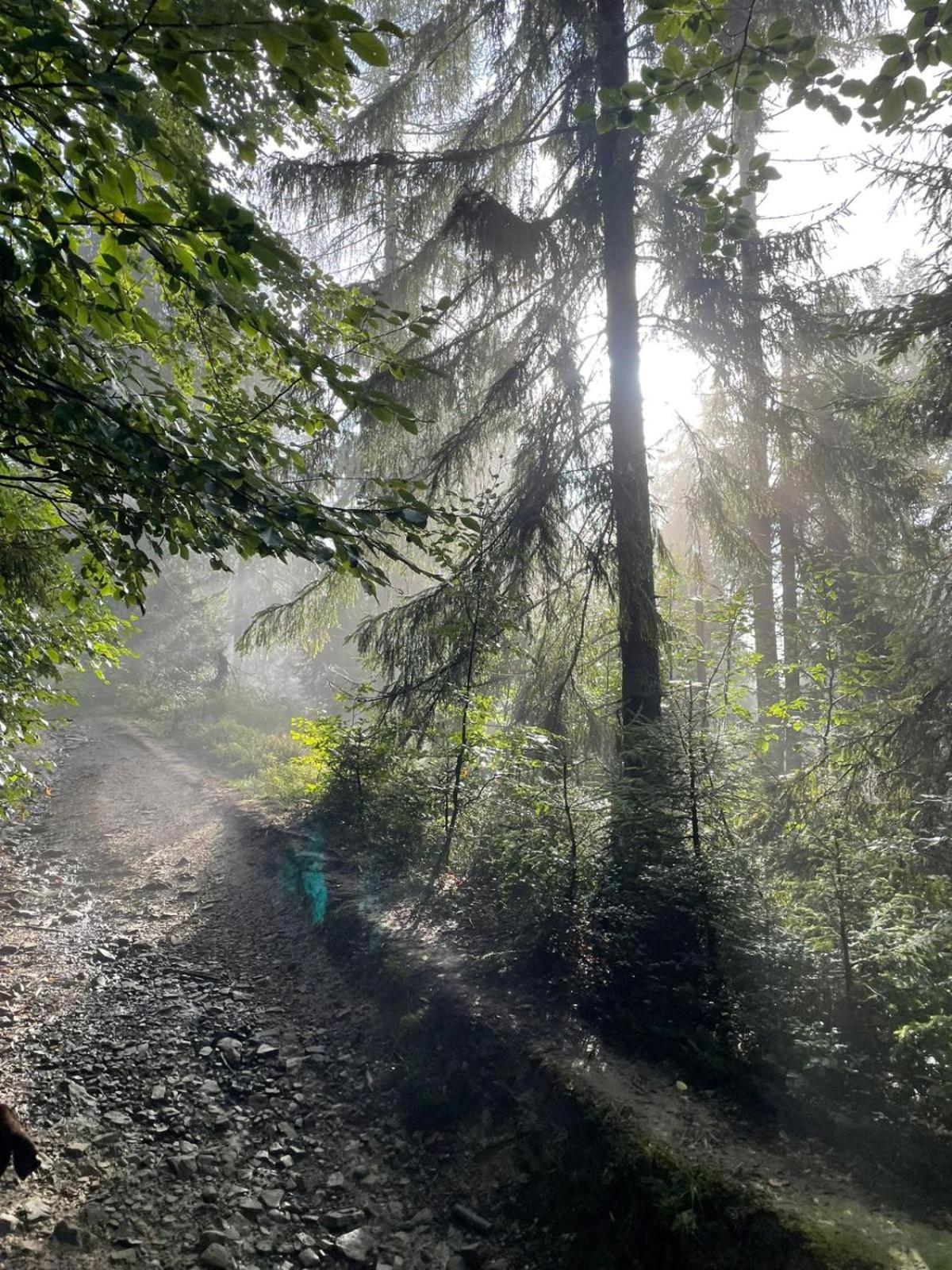 Szlak By Trafil Villa Poręba Wielka Buitenkant foto