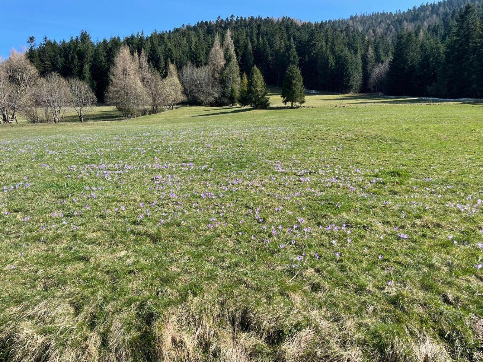 Szlak By Trafil Villa Poręba Wielka Buitenkant foto