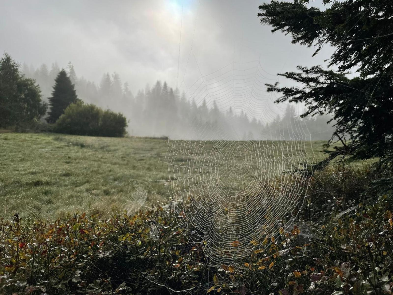 Szlak By Trafil Villa Poręba Wielka Buitenkant foto